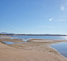 Barraña