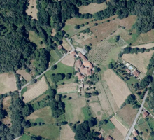 Cachagonza