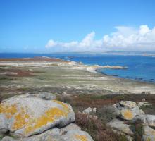 Topónimo Arousa